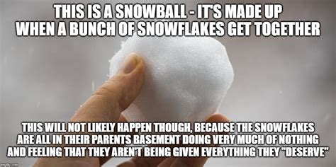 Snowflake Memes And S Imgflip