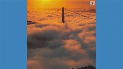 Video Golden Gate Bridge Shrouded In Early Morning Fog Abc News