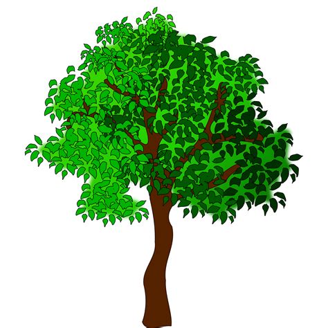 Summer Green Tree Clipart Clipground