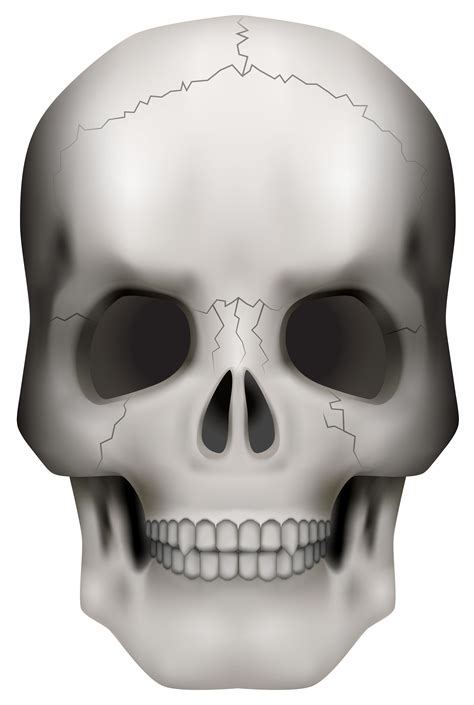 Free Skull Frame Cliparts Download Free Skull Frame Cliparts Png