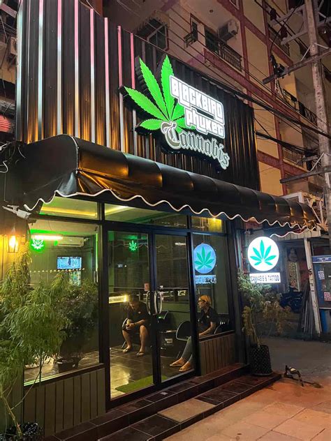 Blackbird Phuket Cannabis Cannabis Dispensaries In Phuket