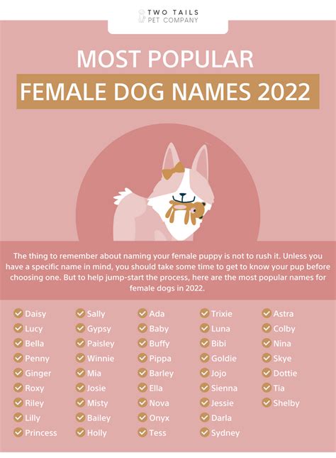 100 Best Girl Dog Names For 2022 Two Tails Pet Company