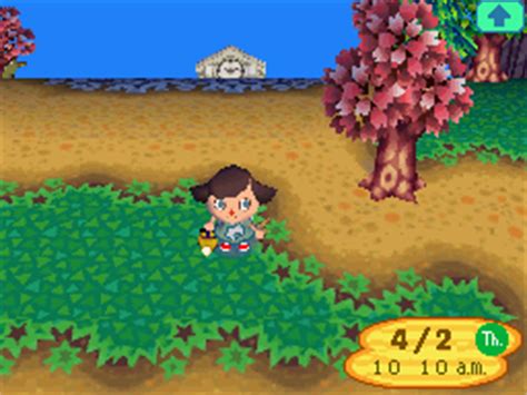Wild world is a simulation video game for the nintendo ds handheld gaming console. Animal Crossing: Wild World - Animal Crossing Wiki