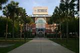 Images of Online Degree University Of Florida