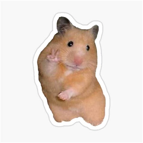 Hamster Peace Sign Meme Sticker For Sale By Lizabash Redbubble