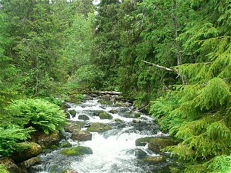Zweden is een ongerept vakantieland met prachtige natuur en wonderschone baaien. Zweden in een Notendop