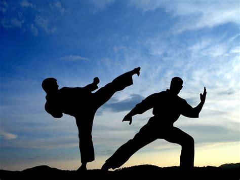 Martial Arts Wallpaper 75 Pictures Martial Arts Karate
