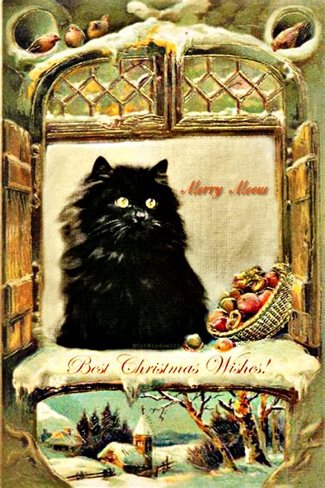 Vintage Cat Holiday Illustrations Cat Wisdom 101