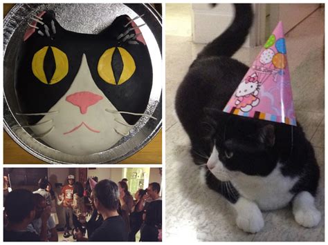 Kitty cat birthday party + free printables! Take Two® | National Cat Day: I threw my cat a birthday ...