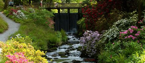 Bodnant Garden: A world-class garden in Wales | National Trust