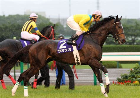 ダイワスカーレットとは、2004年産の栗東・松田 国英厩舎所属の競走馬である。 主戦騎手は安藤勝己。 『ダスカ』と書かれる場合が多い。 この記事では実在の競走馬について記述しています。 ウオッカ死す「ダイワスカーレットとの激闘」「64年ぶり ...