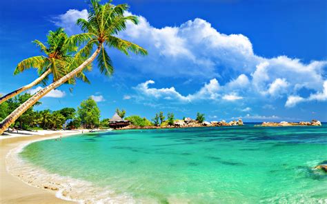 Tropical Beach Bungalow Palm Sandy Beach Ocean Turquoise