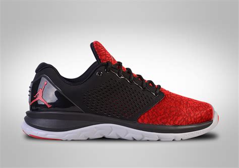 Nike Air Jordan Trainer St Bred For €9500