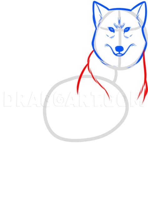How To Draw Wolf Kiba Step By Step Drawing Guide By Dawn Dragoart