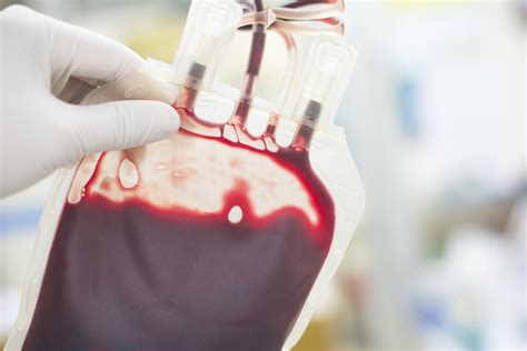 Qual Tipo De Sangue Doador Universal
