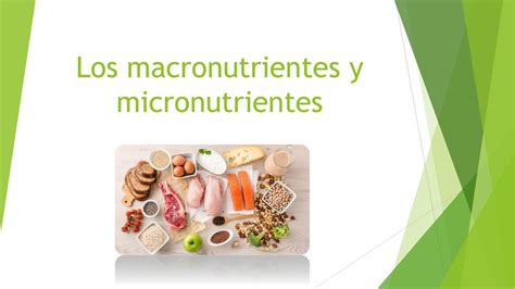 Los Macronutrientes Y Micronutrientes Daniela Romero Udocz