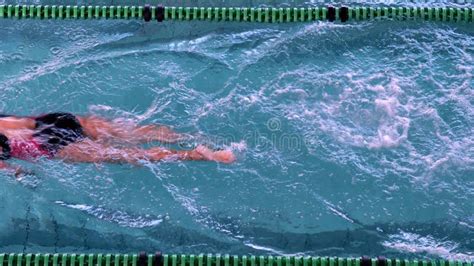 Fit Female Swimmer Doing The Breast Stroke In The Swimming Pool Stock