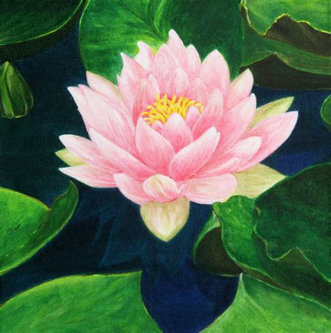 Lotus Flower By Esther Besnier Acrylic On Canvas Lotus Flower Art Flower Art Painting