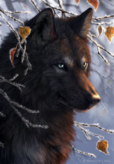 Frosty Day By Wolnir On Deviantart Wolf Pictures Wolf Spirit Animal