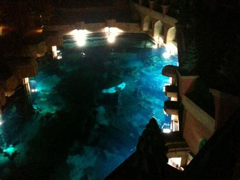 Room Aquarium View Picture Of Atlantis The Palm Dubai Tripadvisor