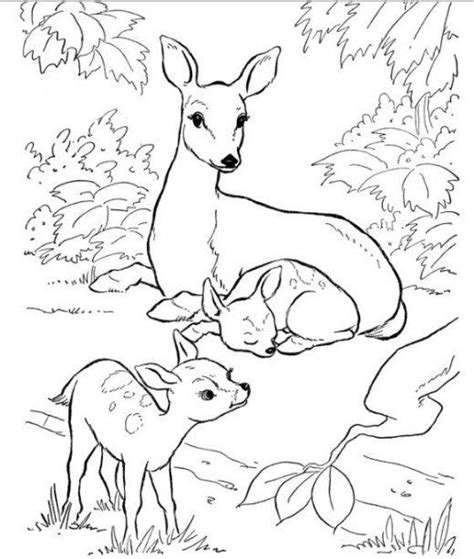 Download Pin on Easy things to draw