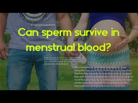 Can I Ovulate During My Period Can Sperm Survive In Menstrual Blood Youtube