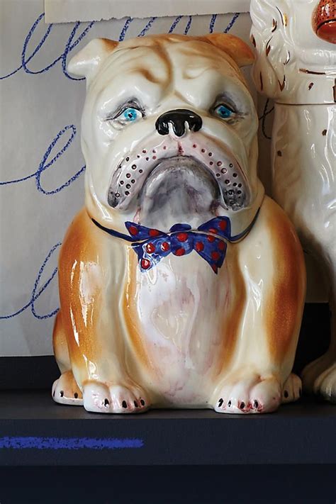 Pedigreed Cookie Jar Bulldog Cookie Jars Antique Cookie Jars Dog