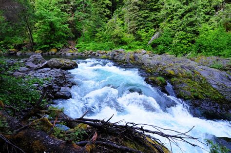 Sol Duc Salmon Cascades State Of Wilderness