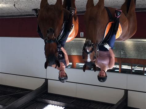 Ron staat in dit onderdeel tegenover 'teamcaptain' britt dekker. Terug op het paard • Bit Magazine