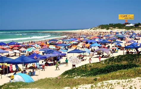 Beachfront 6beds Apart African Queen South Africa Tripadvisor Jeffreys Bay Location De Vacances
