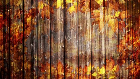 Wooden Autumn Background Loop Motion Background Storyblocks