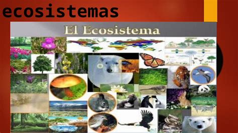 Pptx Diversidad De Ecosistemas Dokumen Tips