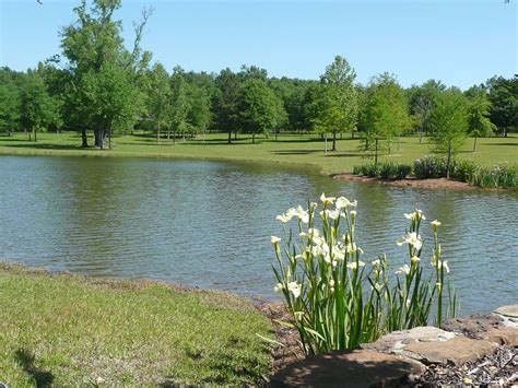 Use Best Practices In Maintaining Your Landscape Pond Farm Pond