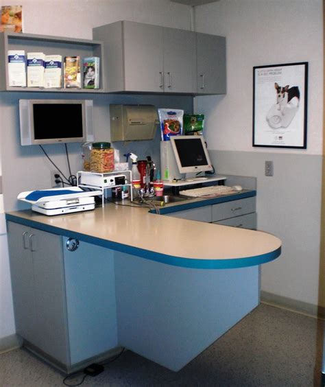 Proyectolandolina Veterinary Office Decor