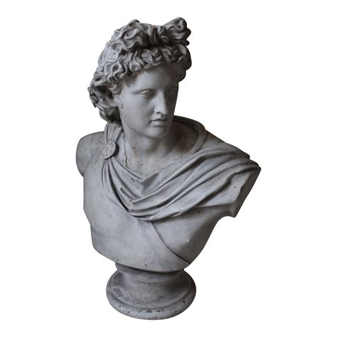 Apollo Belvedere Bust | Chairish