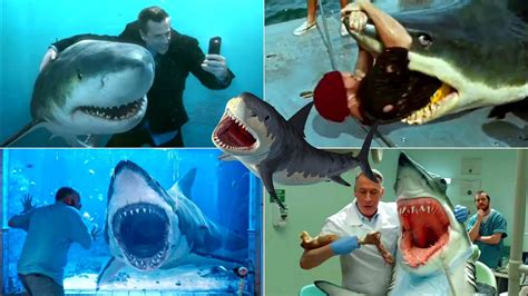 Funniest Shark Commercials Of All Time Funny Shark Ads Ever Youtube
