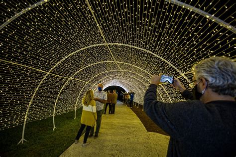 Pictures: Dazzling Nights at Leu Gardens - Orlando Sentinel