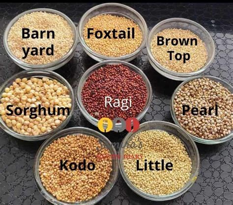 What Are Millets Basic Info About Millets Types Benefits Millet