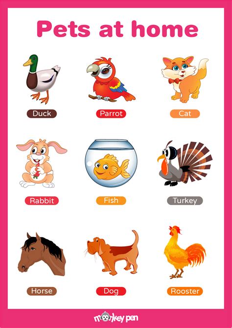 Free Printable Pet Animals Educational Poster Monkey Pen Store