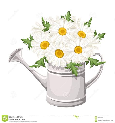 Bouquet Of Daisies In Watering Can Vector Stock Vector Image