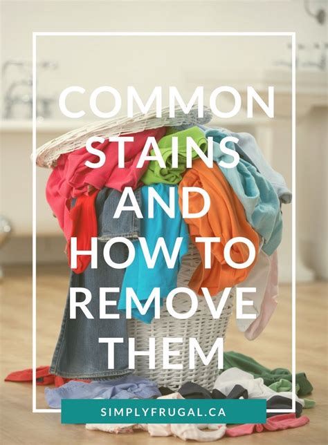 Stain Removal Guide 7 Common Stains And How To Remove Them Stain