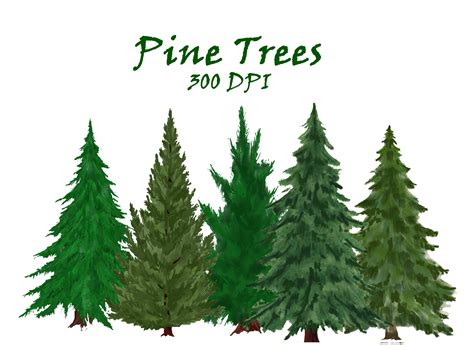Pine Trees Watercolor Clipart Fir Trees Png Evergreen Tree Clipart My Xxx Hot Girl