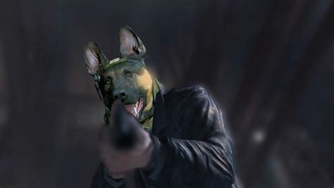 Man Dog Call Of Duty Dog Know Your Meme