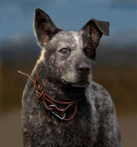 Check spelling or type a new query. Far Cry 5 Collector's Editions, Screens and Gameplay Demo ...