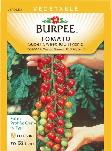 Burpee® Super Sweet 100 Hybrid Tomato Seeds 1 Ct Qfc