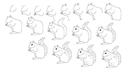 How To Draw A Squirrel Easy At Drawing Tutorials