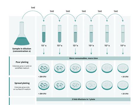 Serial Dilution Techniques And Requirements Iul Instruments