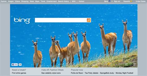 Bing Updates Home Page