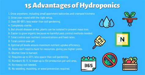 12 Best Hydroponic Systems 15 Advantages To Hydroponics That Youre