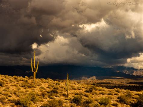 Arizona Desert Storm Arizona Landscape Sonoran Desert Scenery